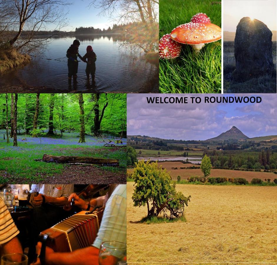 Glendalough Scenery Farmhouse Roundwood Εξωτερικό φωτογραφία