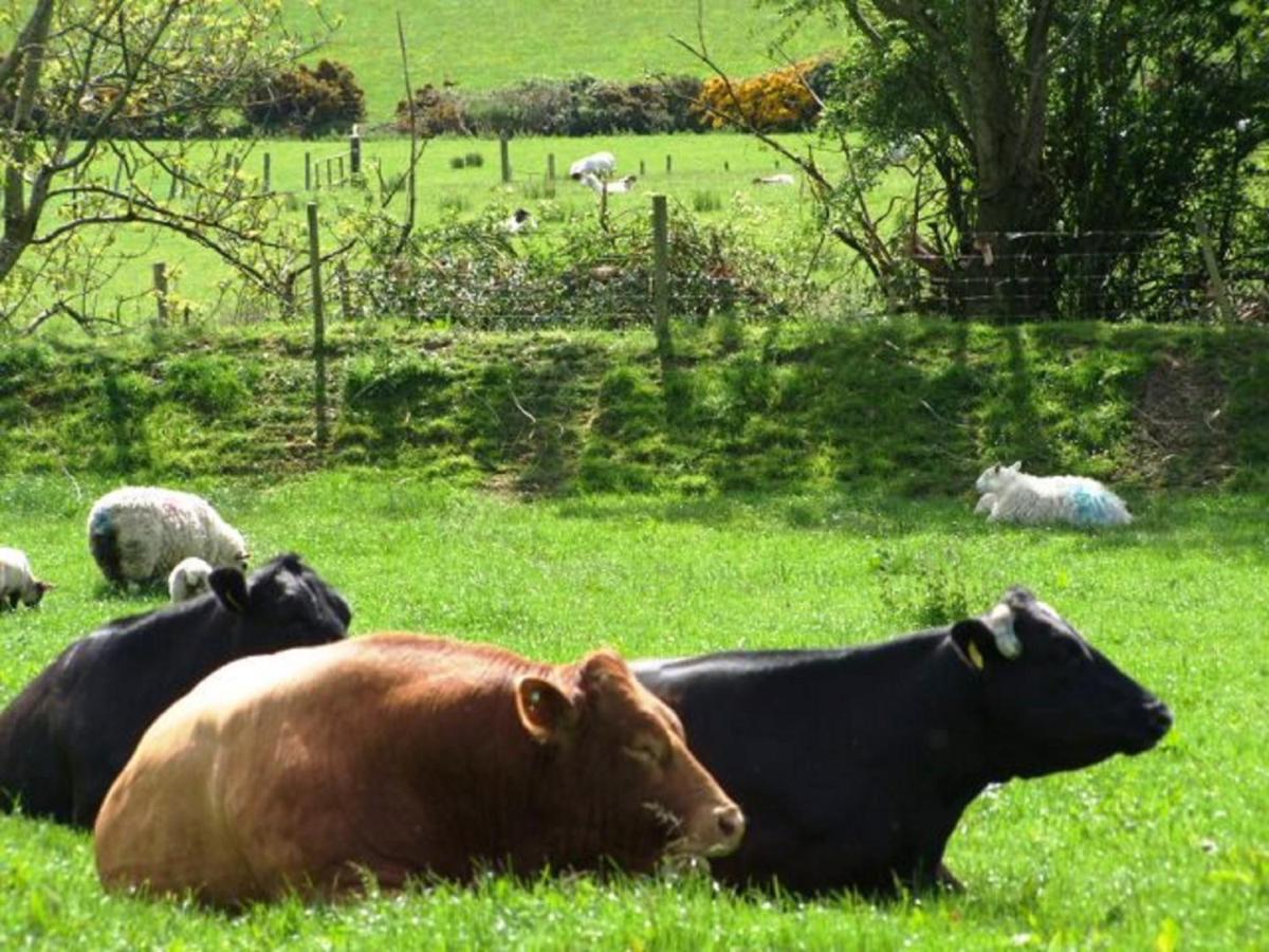 Glendalough Scenery Farmhouse Roundwood Εξωτερικό φωτογραφία